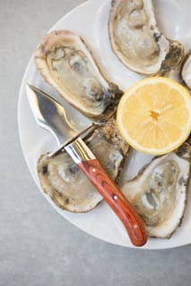 Charleston Shucker Company - Wholesale Kitchen/Utility Knife - SALE: The Carolina Shucker5