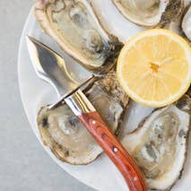 Charleston Shucker Company – Faca de cozinha/utilitário por atacado – PROMOÇÃO: O Carolina Shucker5