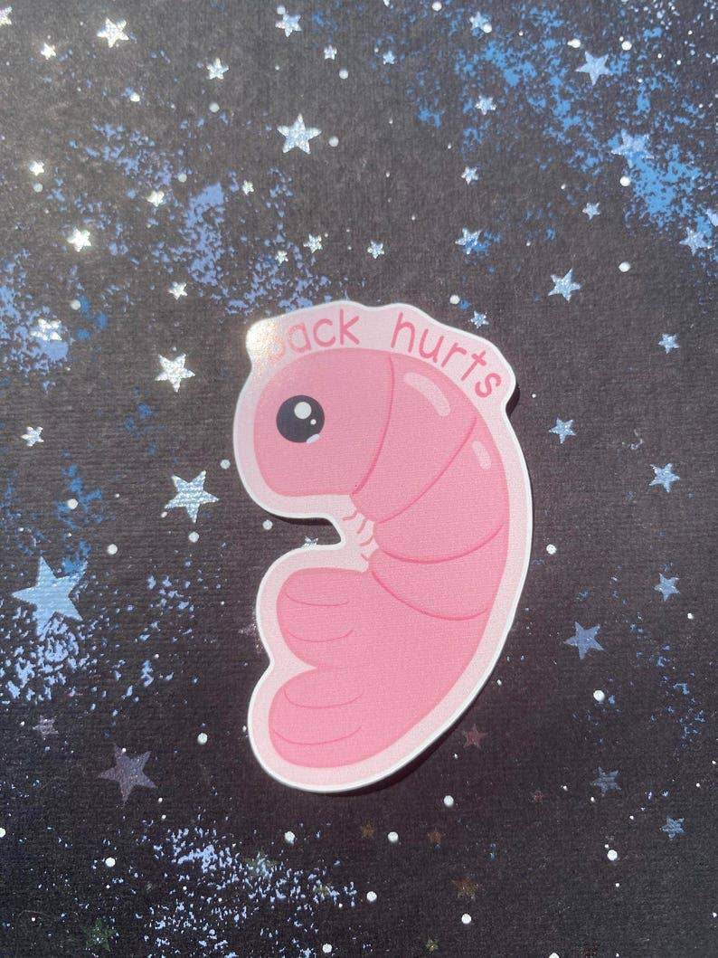 AstroManatee Shop - Wholesale Sticker - Shrimp Back Hurts 2.5” Waterproof Sticker7