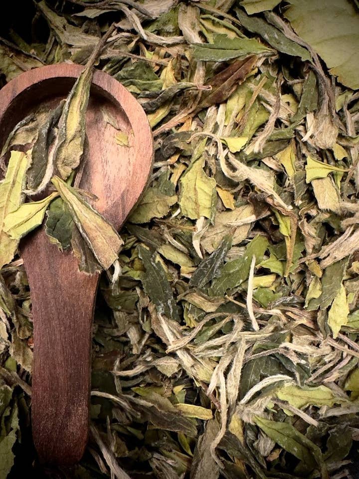 №18 Fujian White Peony 25g (0,88oz) / 100g (3,53oz) for wholesale by SveTea