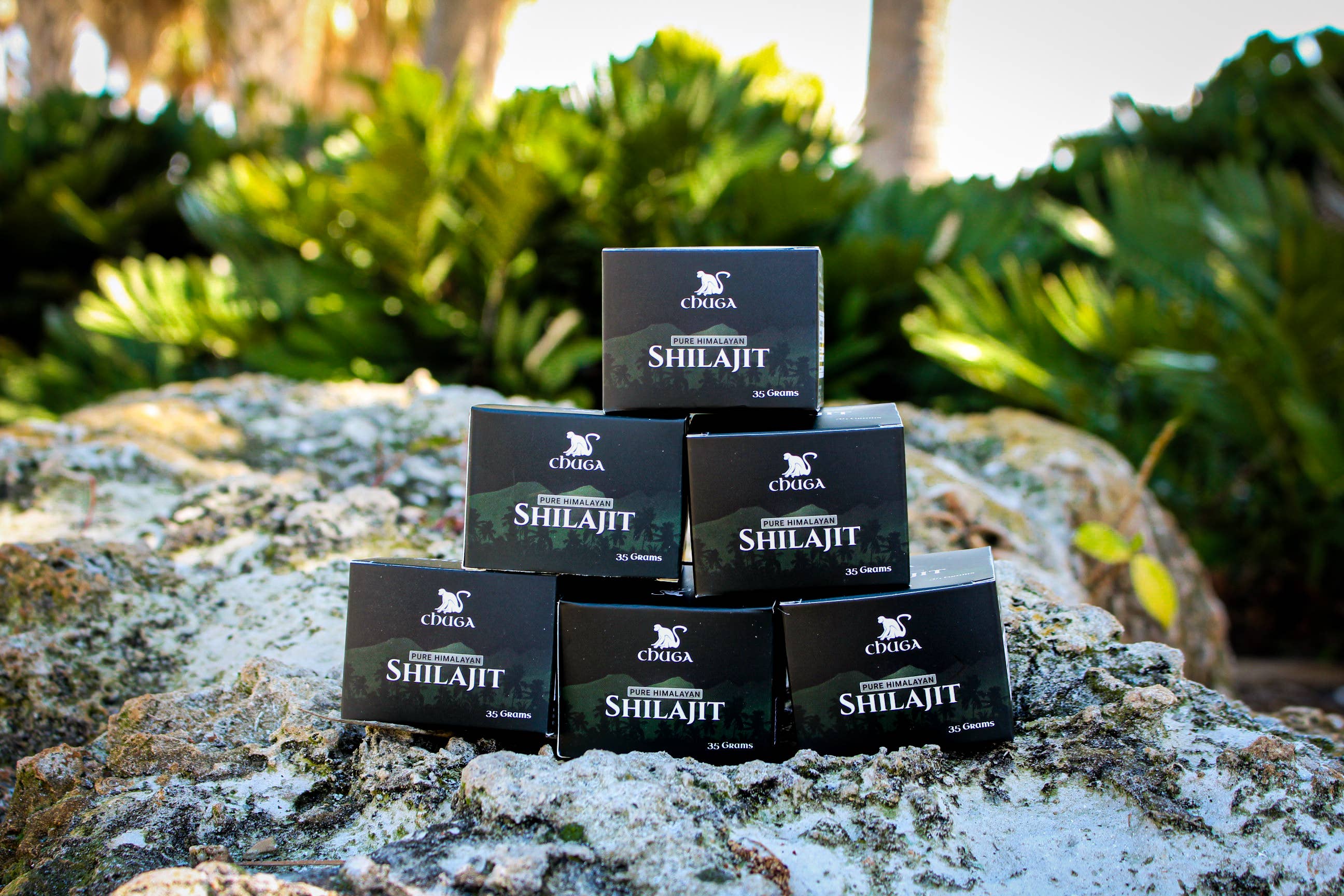 Chuga Shilajit - Wholesale Oral Supplement/Vitamin - Pure Himalayan Shilajit4