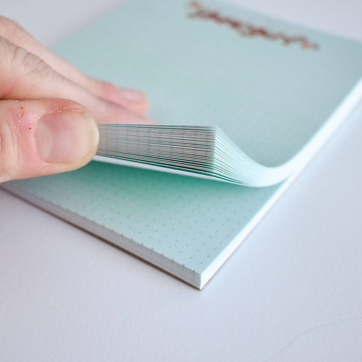 Kyn You Believe It - Wholesale Notepad - From the Desk of a Showgirl Notepad1