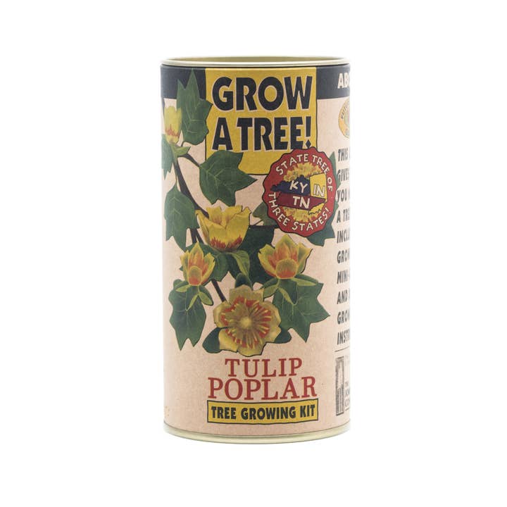 The Jonsteen Company - Wholesale Plant Seeds - Tulip Poplar | Seed Grow Kit