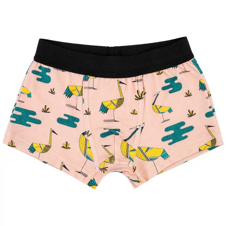 Boys Boxer Shorts - Crane Lake for wholesale by Raspberry Republic