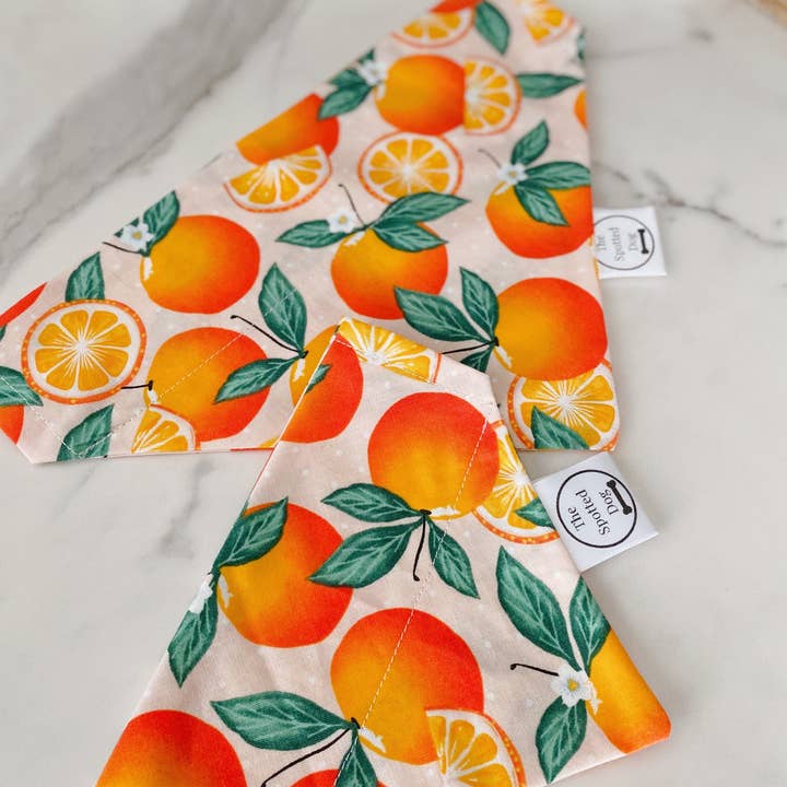 Spotted Dog Co. - Wholesale Pet Bandana - Dog - Orange Zest Bandana1