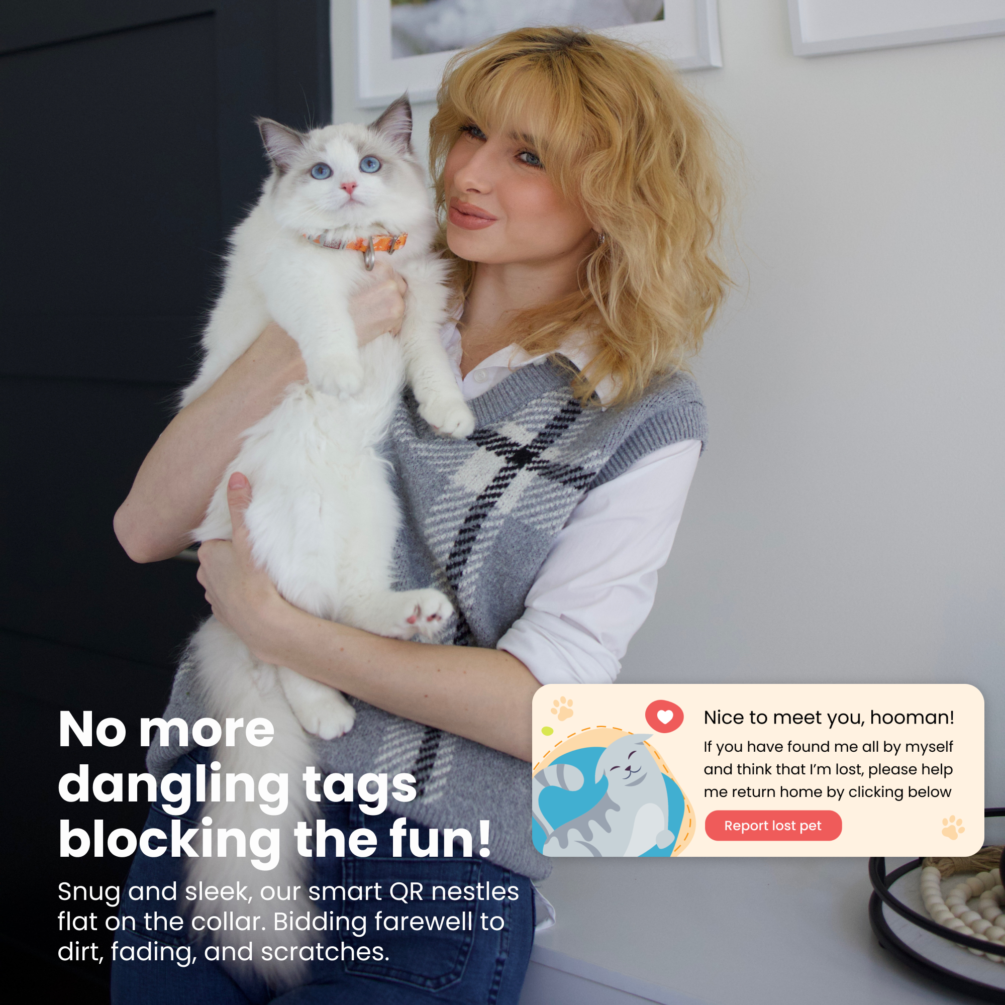 Pawnec - Wholesale Pet Collar - Cat/Dog - NeoCollar "Glow n' Go"4