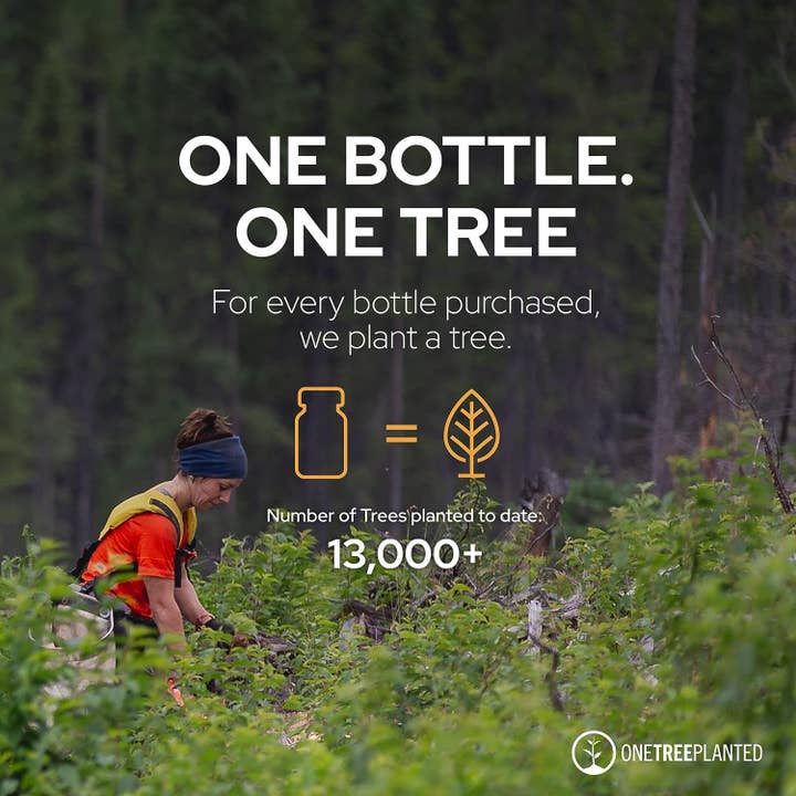 Plant of Life – Engroshandel Aromaterapi lotion/olie – Plant of Life Vild Oreganoolie – 6 måneders forbrug – 30 ml (1 oz)5