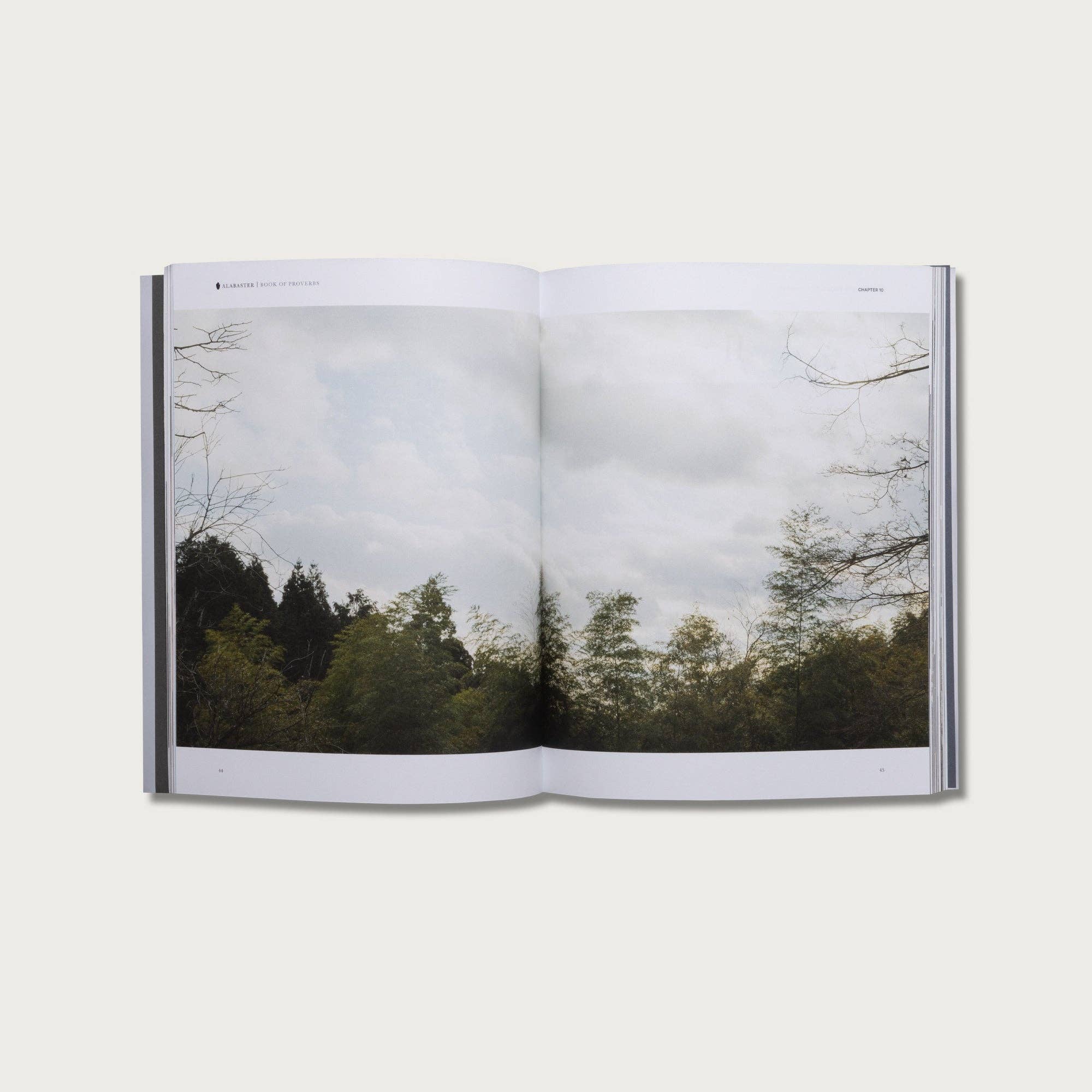 Alabaster Co - Wholesale Religion Book - The Book of Proverbs7