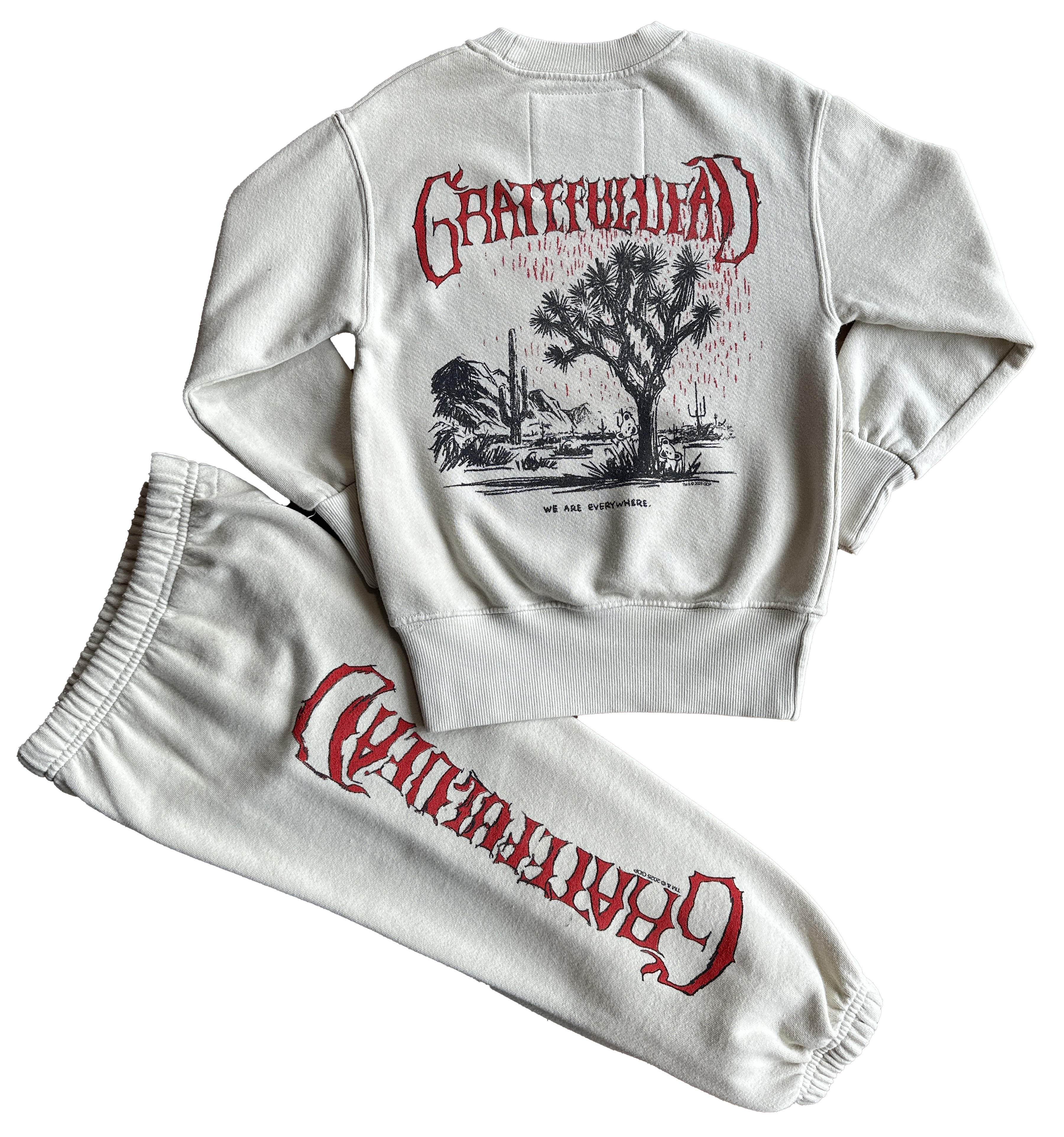 Rowdy Sprout - Wholesale Graphic Sweatshirt - Women's - Grateful Dead Joshua Tree Crewneck4