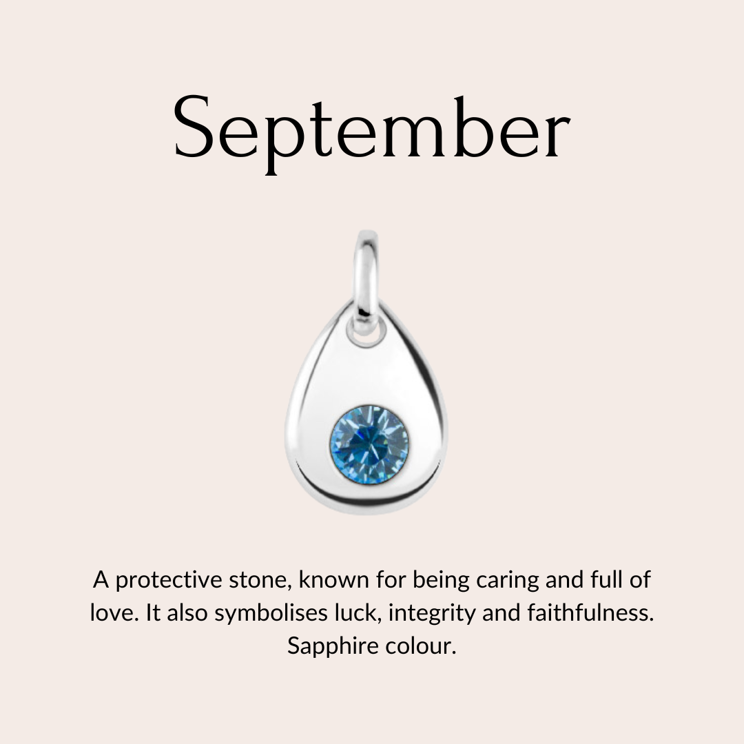 Skylos Collective - Wholesale Pet Collar Charm - Cat/Dog - Sterling silver birthstone collar charm11