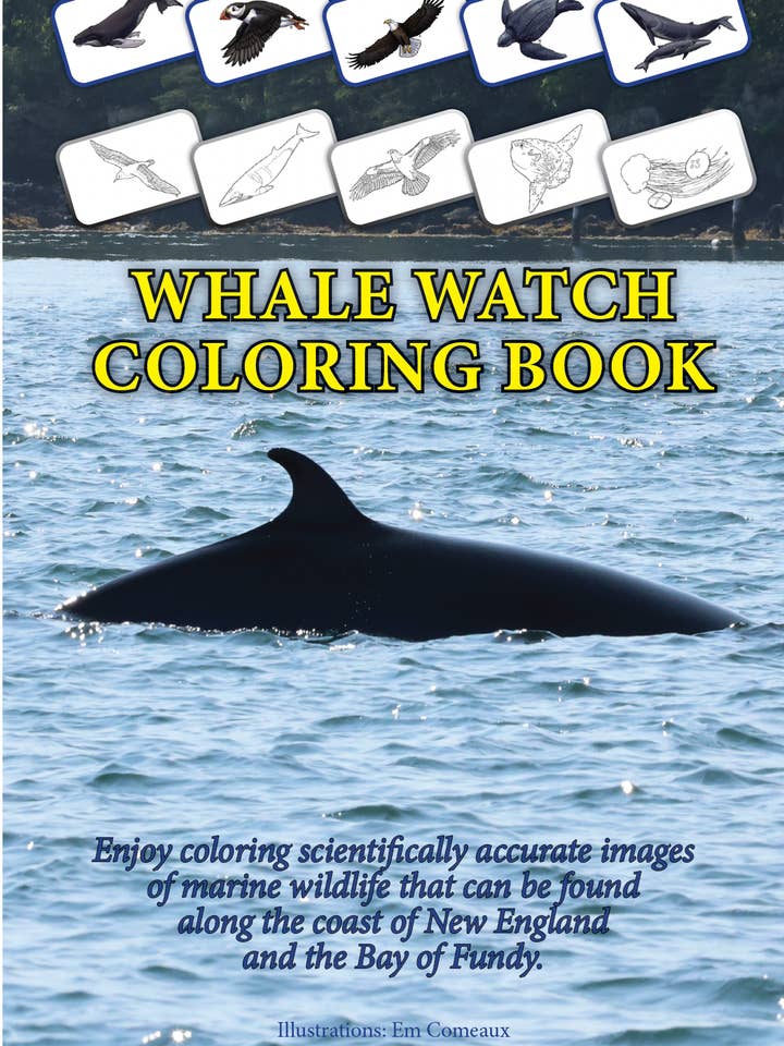 Whale Watch Coloring Book for wholesale by Captured Images