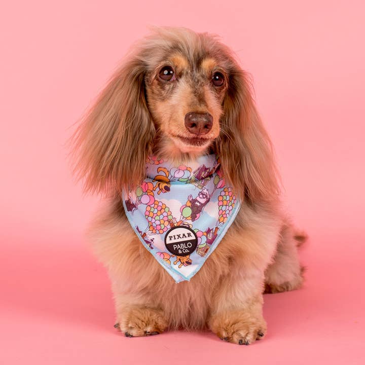 Haut : Bandana pour chien pour la vente par Pablo & Co. Boutique