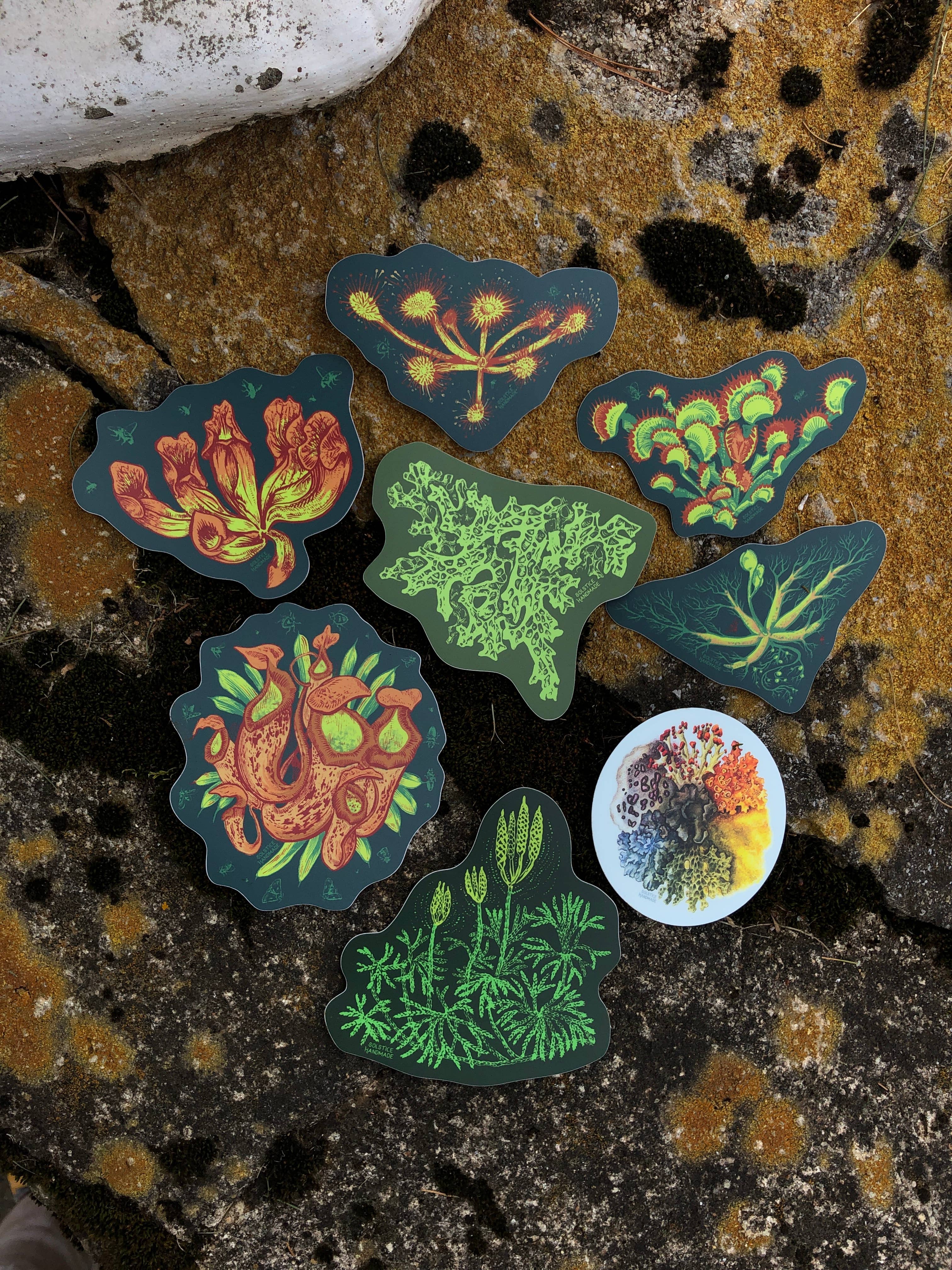 Solstice Handmade – Engroshandel Klistermærke – Spærret ugle klistermærke1