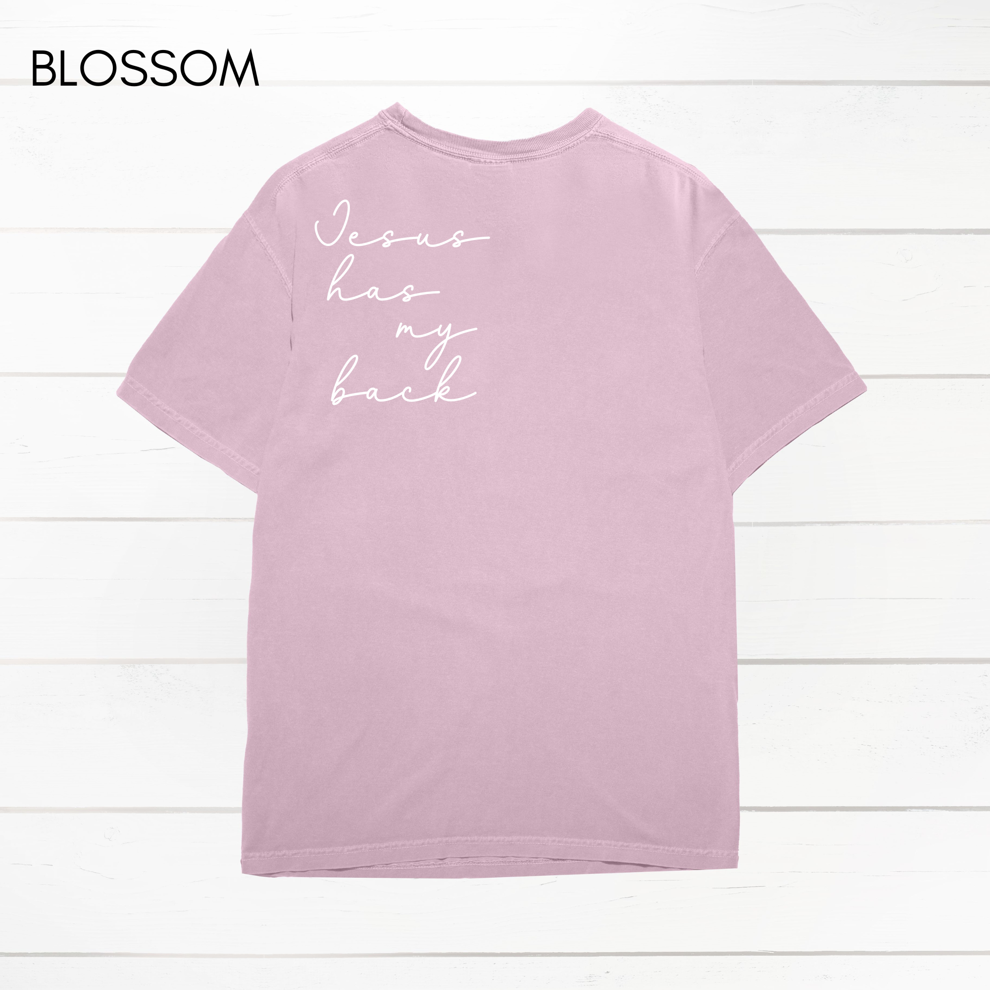 Faith & Life Christian Brands - Wholesale Screen Printed T-Shirt - Women's - Jesus Has My Back Comfort Colors Heavyweight T-Shirt17