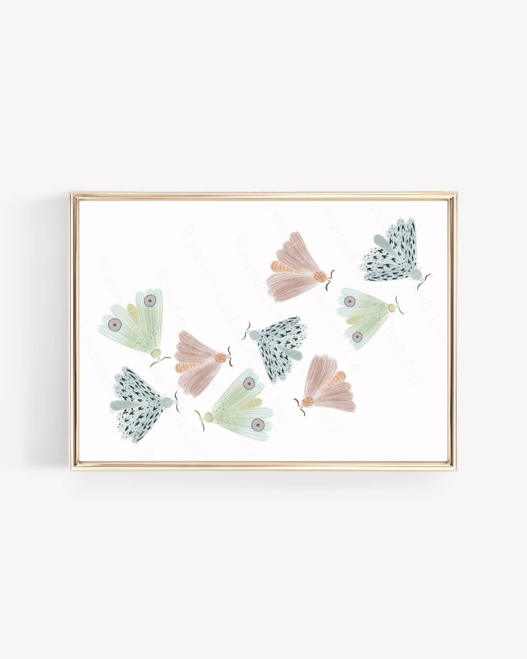 Tania Purdy – wholesale Art print – Moths2
