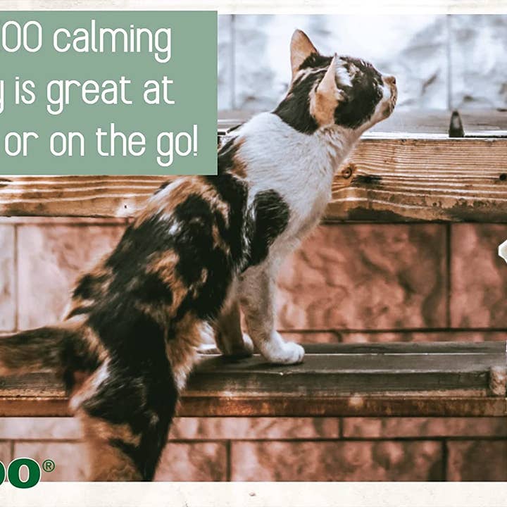 ALZOO - Vente Compléments alimentaires – chat et chien - Spray calmant à base de plantes ALZOO pour chat, 3,4 oz3