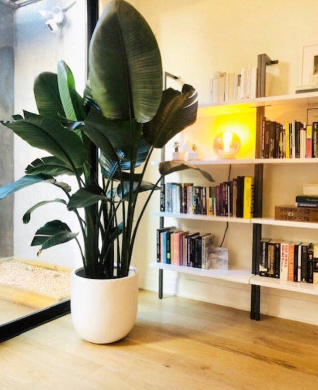 Common House Studio - Vendita all'ingrosso Vasi per piante - VASO ESSENZIALE | FIORIERA11