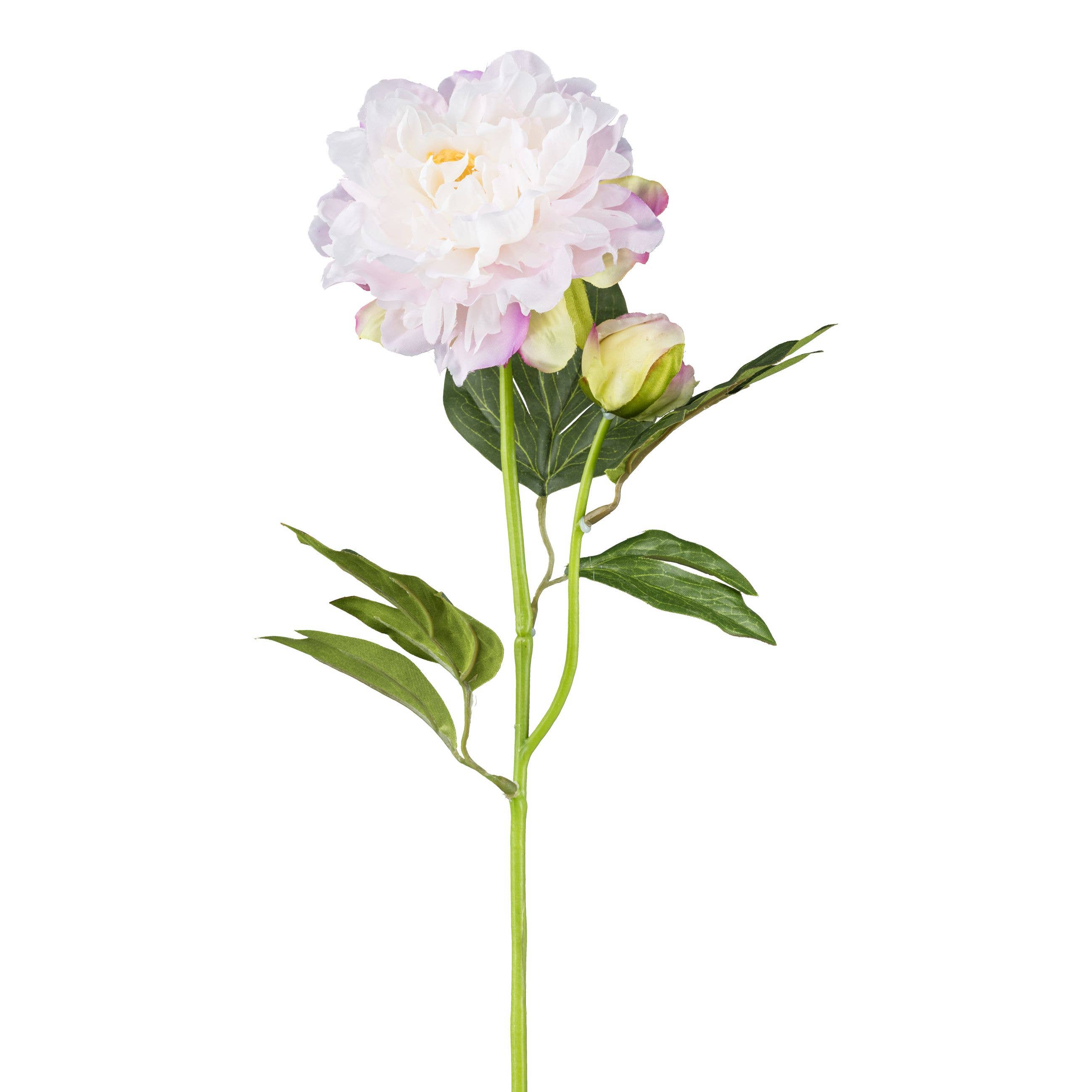 GASPER GmbH - Wholesale Artificial Flowers - Peony X2, 54cm0