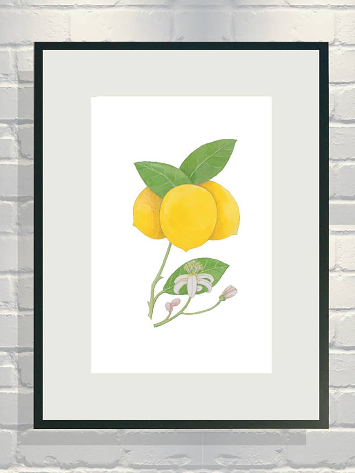 Lemon Cluster Botanical #5 for wholesale by VMazzoni