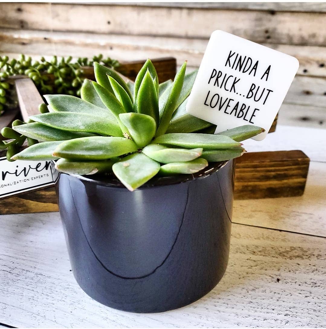 Mad River - Wholesale Garden/Lawn Stake - Snarky Plant Marker Stake - Kinda a Prick...but...