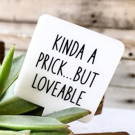 Mad River - Wholesale Garden/Lawn Stake - Snarky Plant Marker Stake - Kinda a Prick...but...0