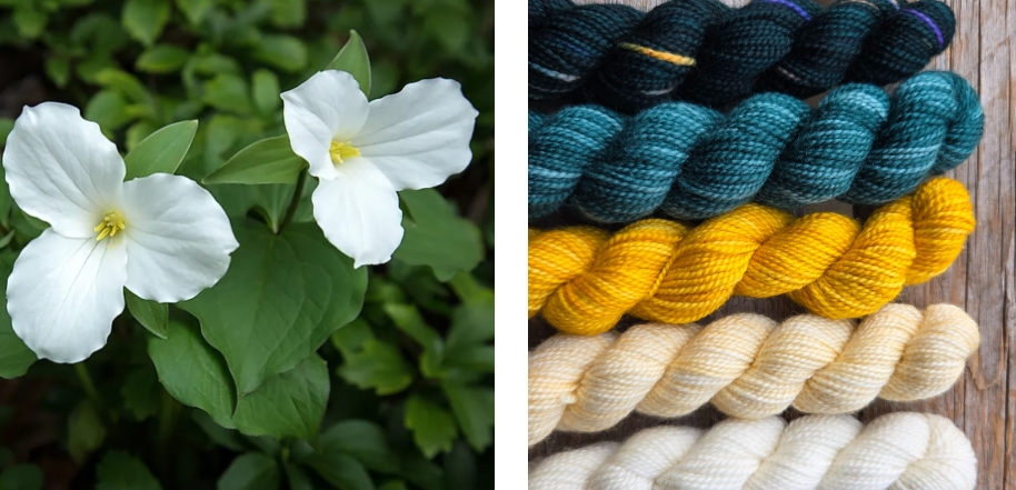 Koigu Wool Designs - Vente Fils à tricoter - Boîtes de Peinture de Fleurs Provinciales (ensembles de mini-écheveaux)25