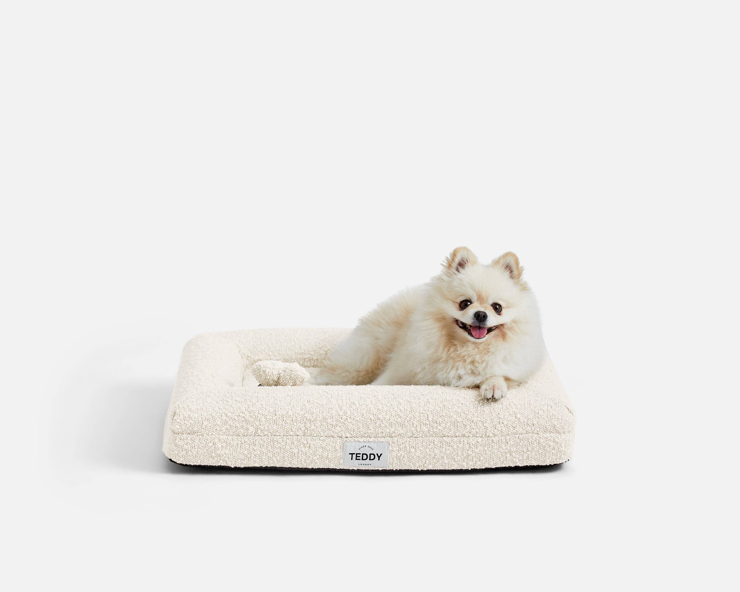 TEDDY LONDON - Wholesale Pet Bed - Dog - MINI XS BOUCLE BED WHITE2