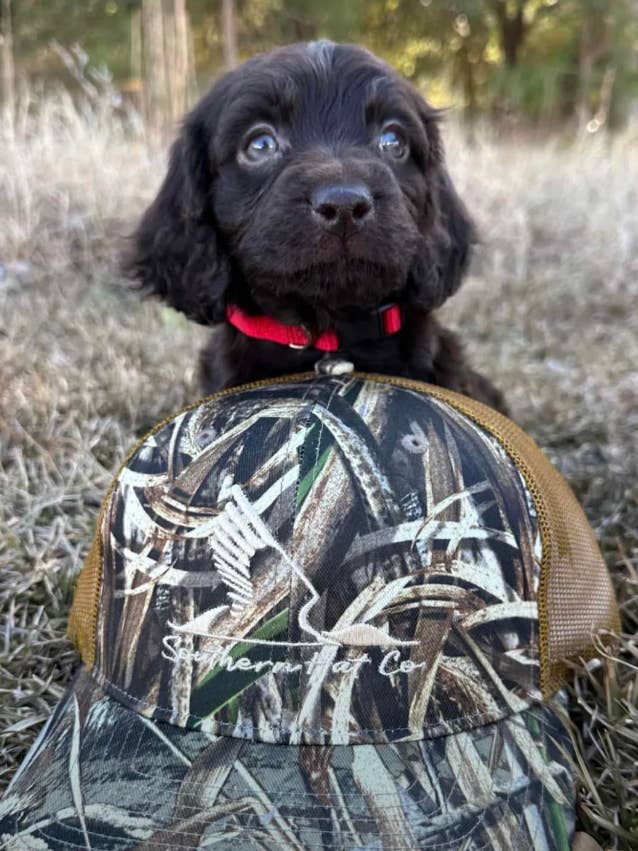 Gliding Duck - Trucker Hat for wholesale by Southern Hat Co Apparel