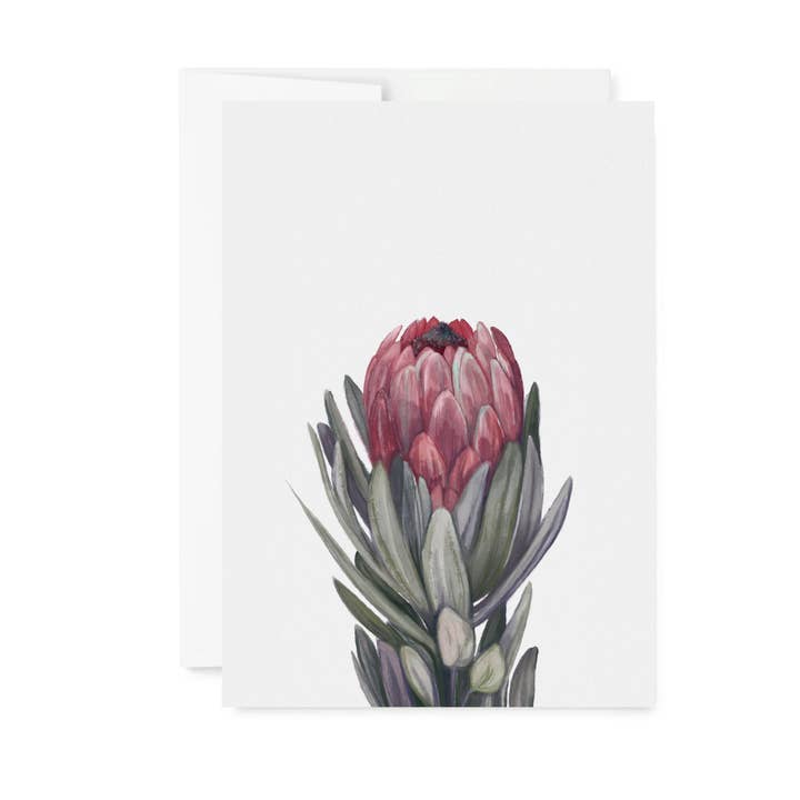 EverElling - Wholesale Everyday Greeting Card - Protea Flower Card