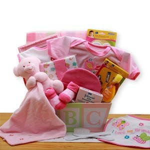 Gift Basket Drop Shipping - Wholesale New Mom Gift Box/Set - Easy As ABC New Baby Gift Basket - Pink
