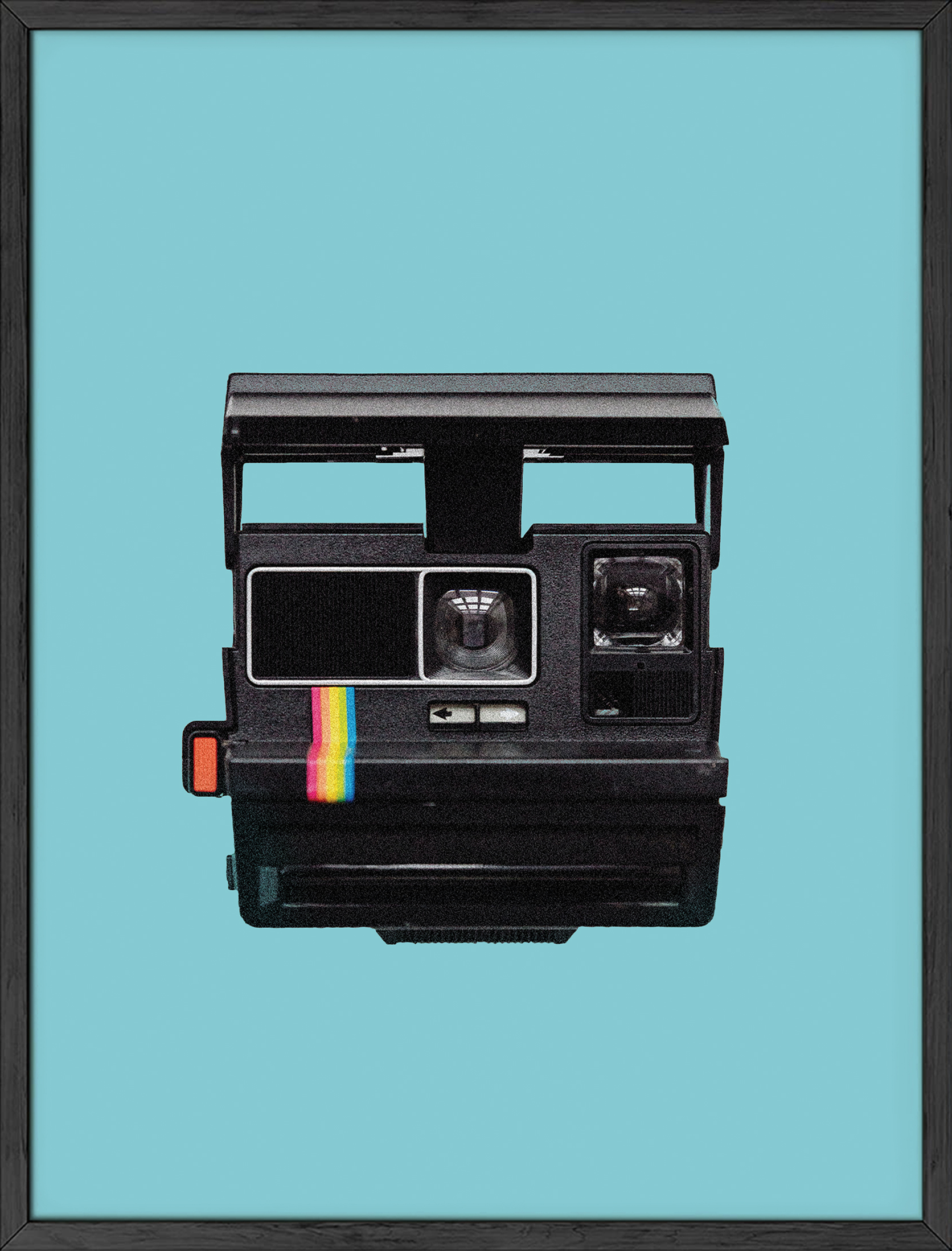 Haus and Hues - Wholesale Art Print - Vintage Polaroid Camera0