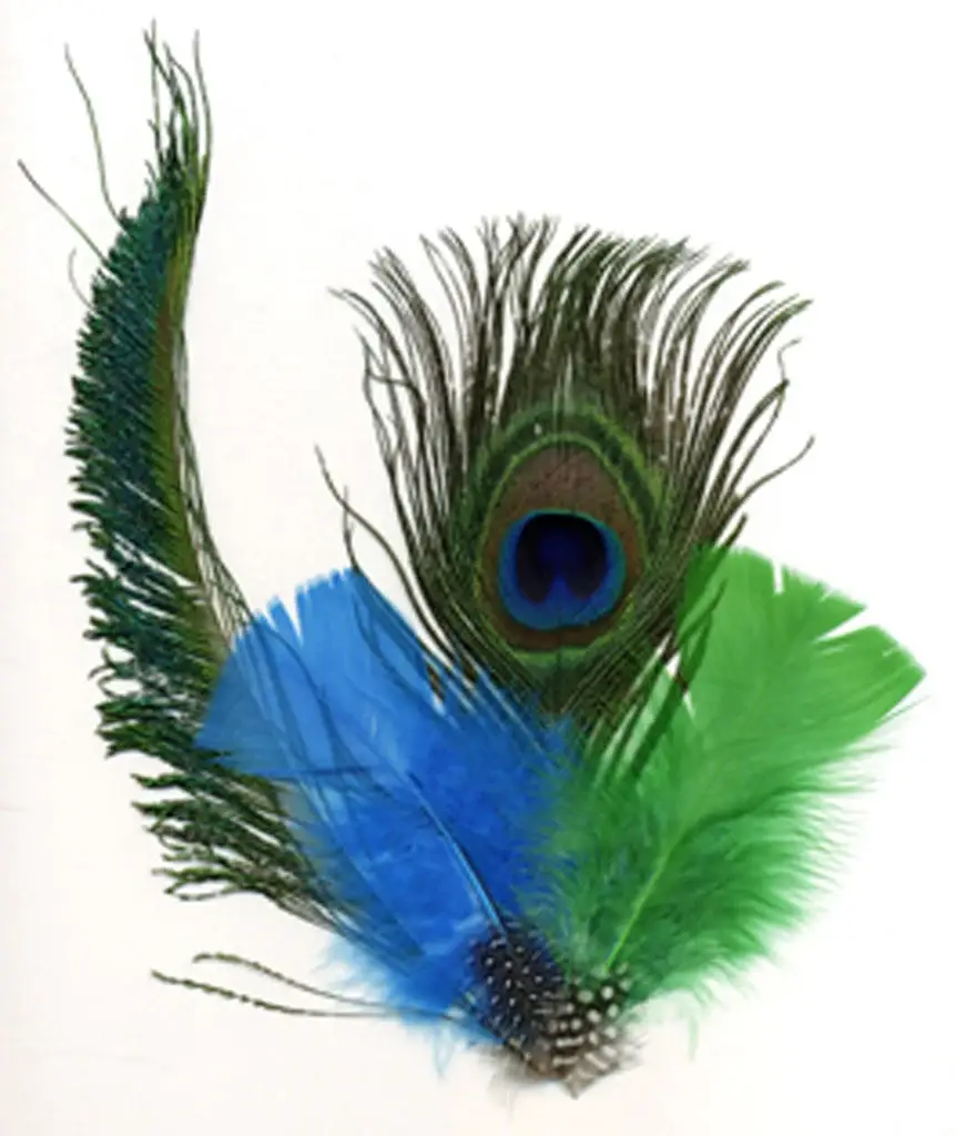 Zucker Feather Products - Wholesale Craft Supplies - Peacock Eye-Sword-Guinea-Hackle - DKT/K/N0