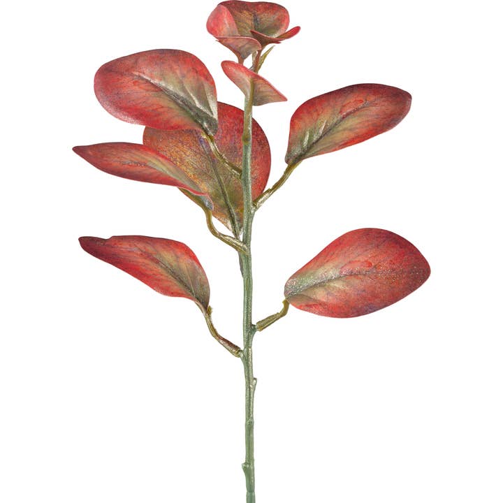 Cotinus, 32cm, sandsteinrot für den Großhandel von GASPER GmbH