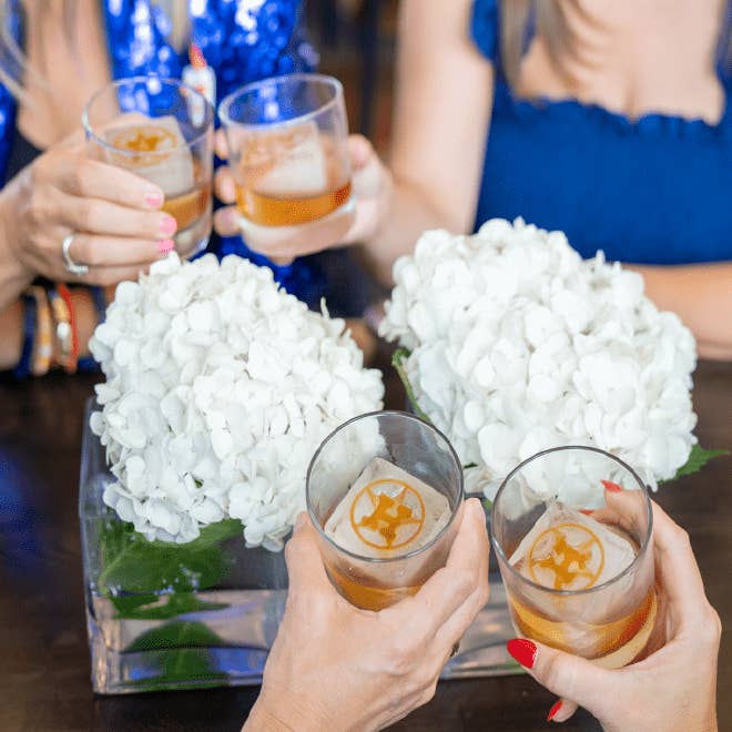 rOks - Wholesale Ice Tray/Mold - Astros Bundle1