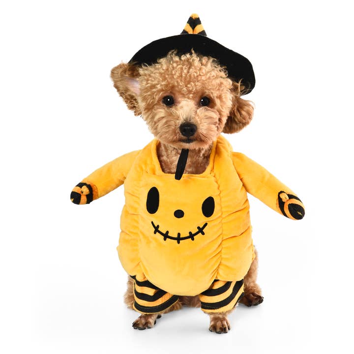Halloween Pumpkin Dog Costume for wholesale by PetLondon