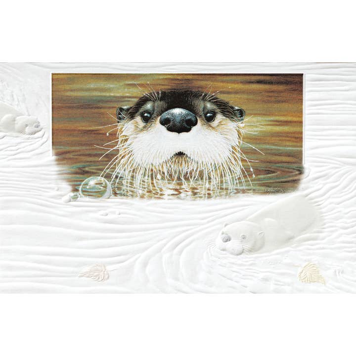 Pumpernickel Press - Wholesale Birthday Card - River Rounds - Deluxe