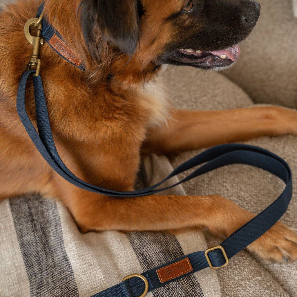Tilley + Me - Wholesale Pet Leash - Dog - Hemp Cotton Dog Leash - Adjustable & Lightweight29