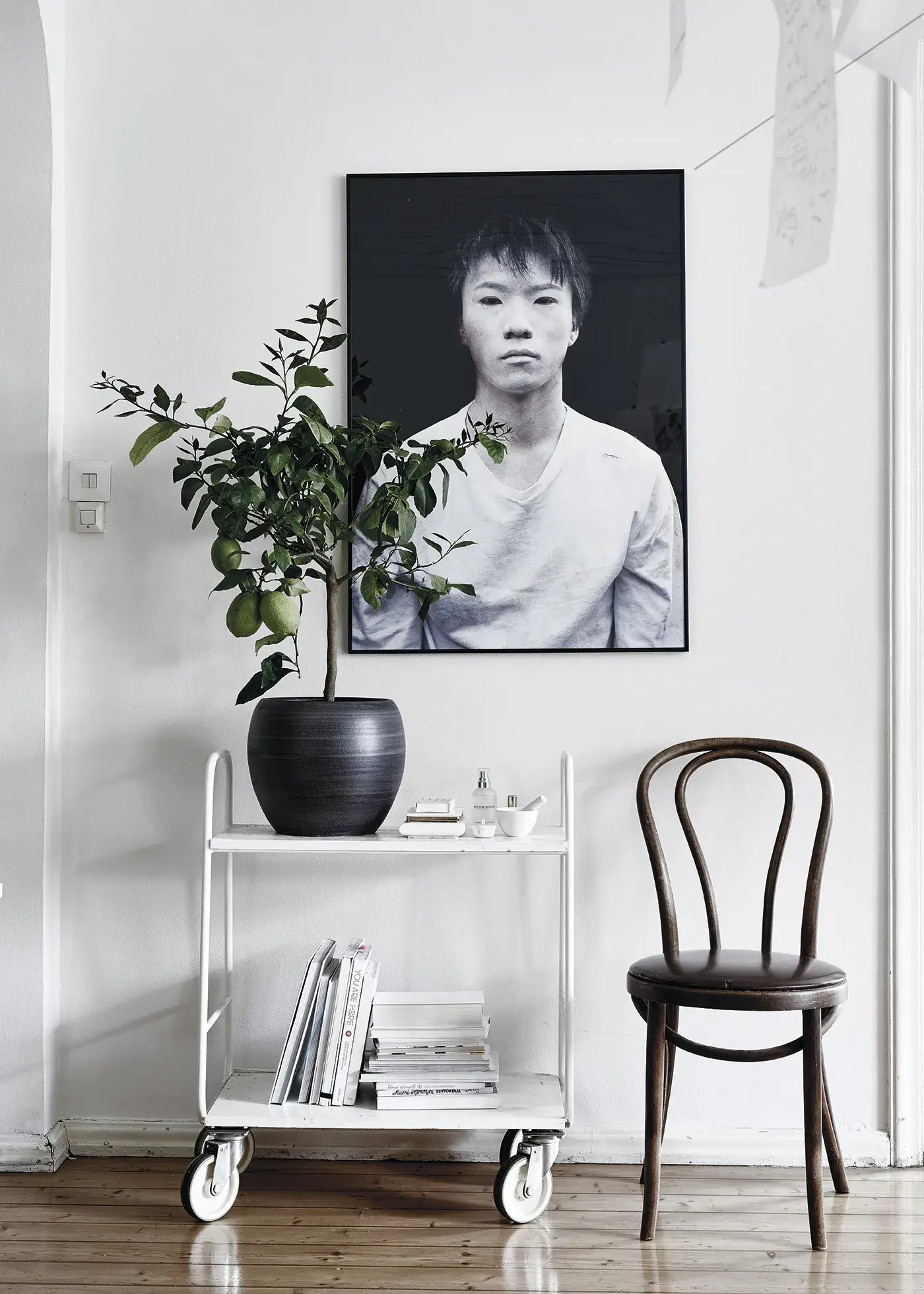 Cozy Publishing - Vente Livre sur la maison et le jardin - Green Home Book - Intérieurs inspirants centrés sur les plantes2