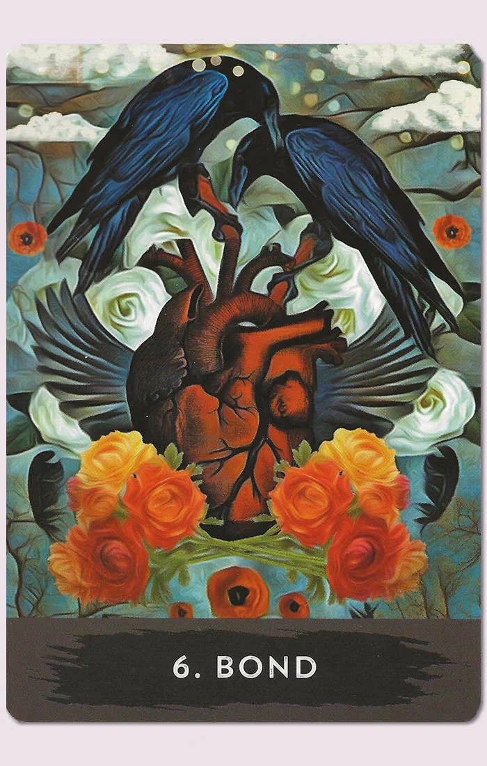 Cardshouse – Engroshandel Tarotkort – Urban Crow Oracle-kort Hay House6
