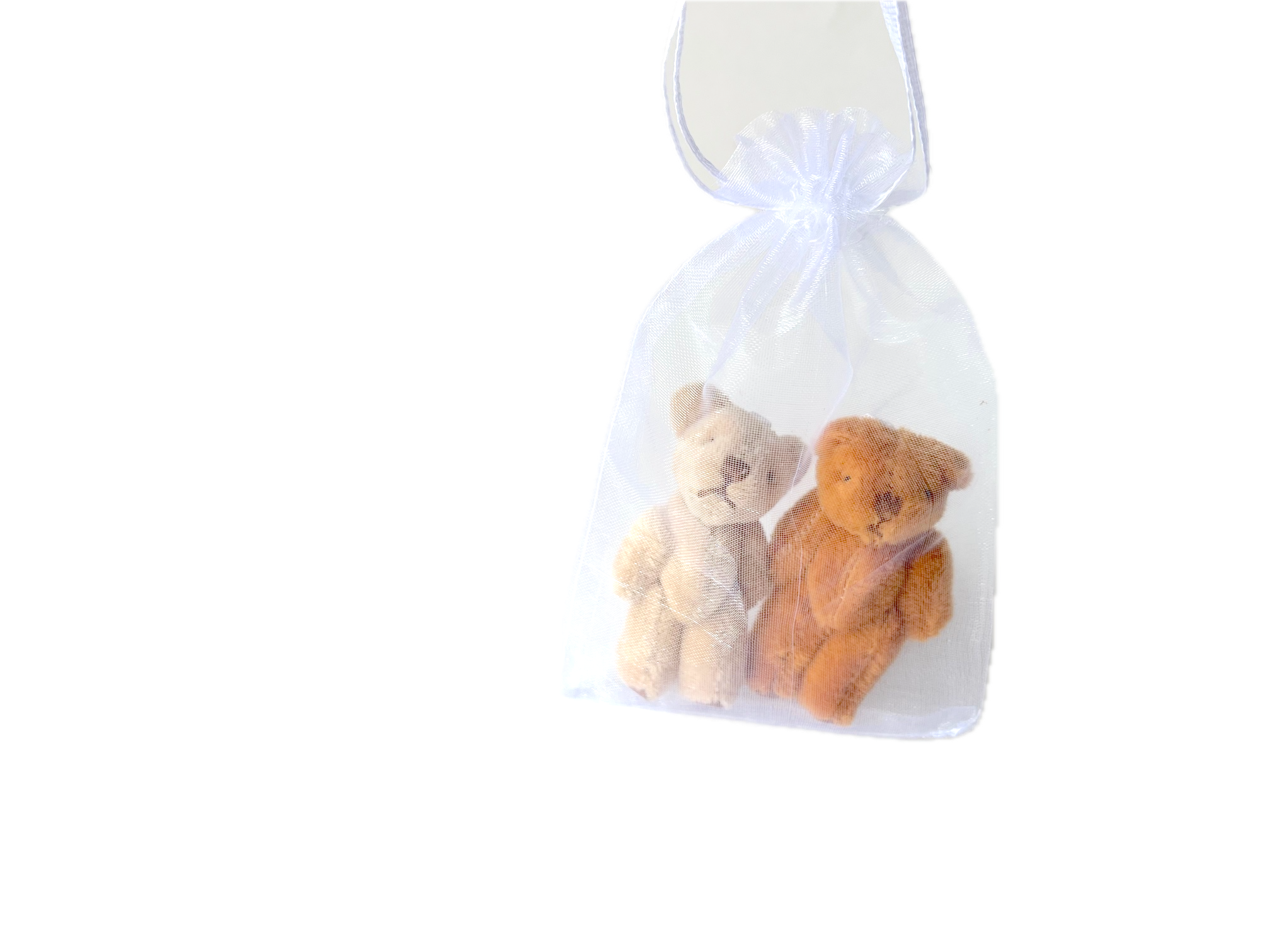 The Gifted Rat - Wholesale Gift bag - Organza Drawstring Bag 0