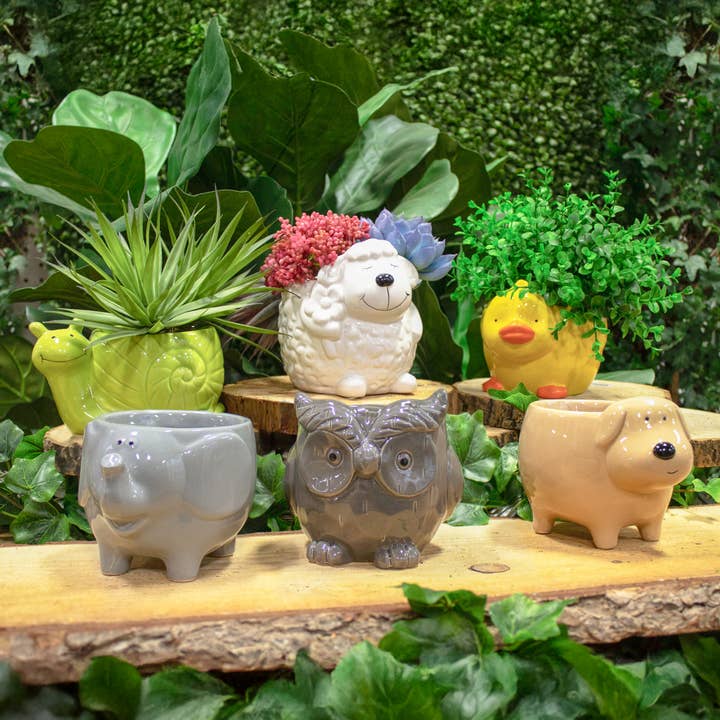 Jacobson - Wholesale Vase - 6"L Assorted Animal Pot Planters - Dolomite Ceramic