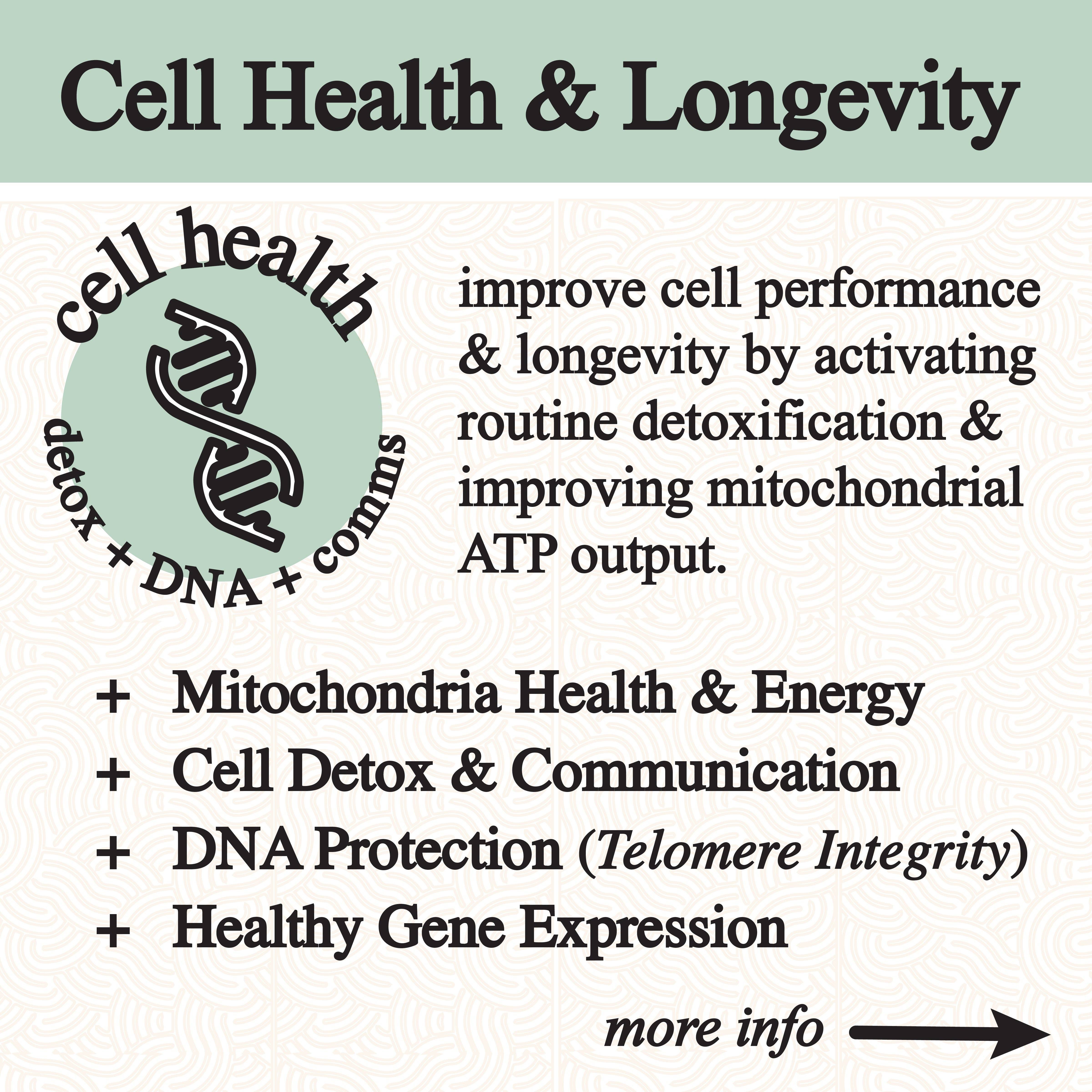 Roots Apothecary - Wholesale Tincture - inflammation tincture.4