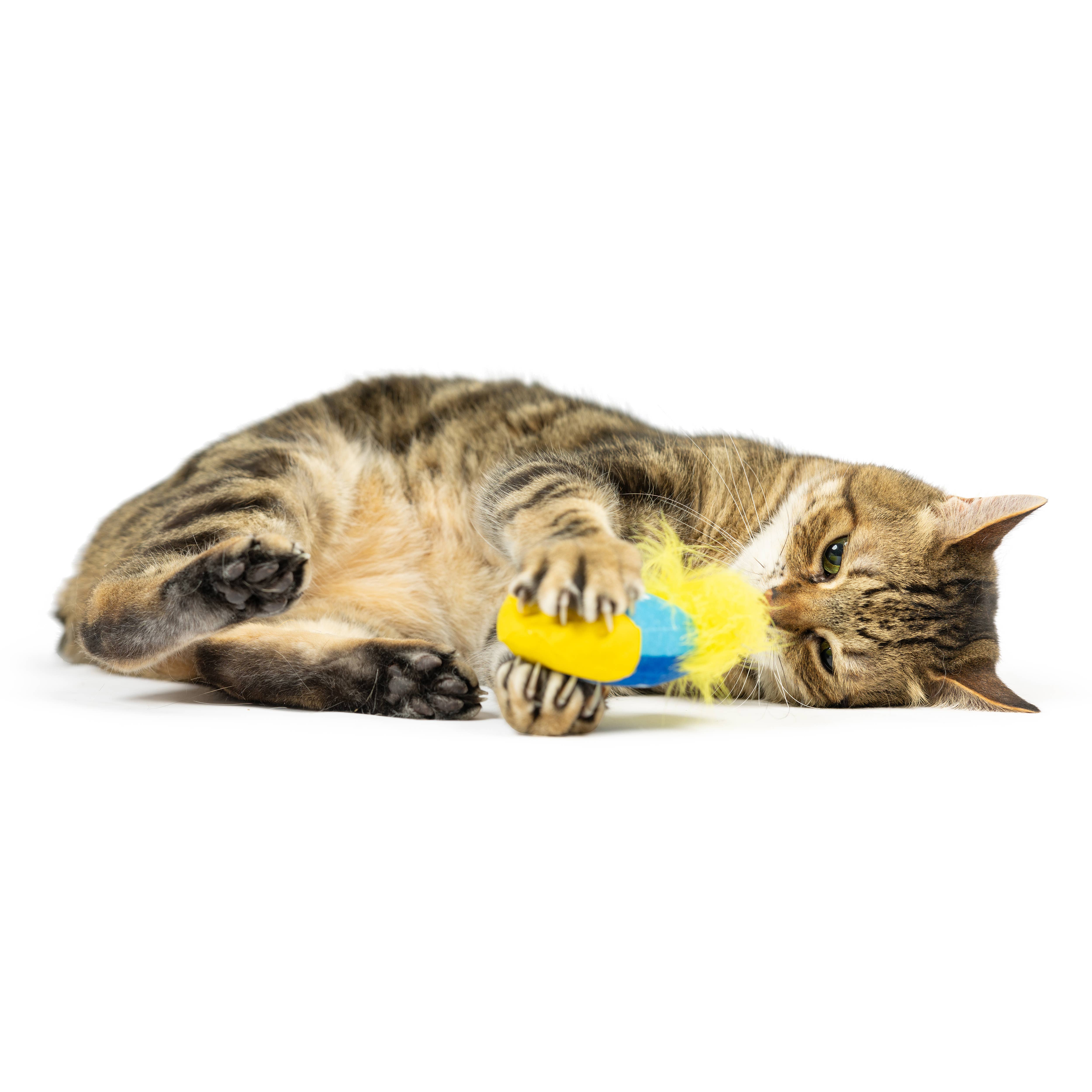 Huxley & Kent - Wholesale Pet Toy - Cat - Meow-zel Tov Dreidel Cat Toy2