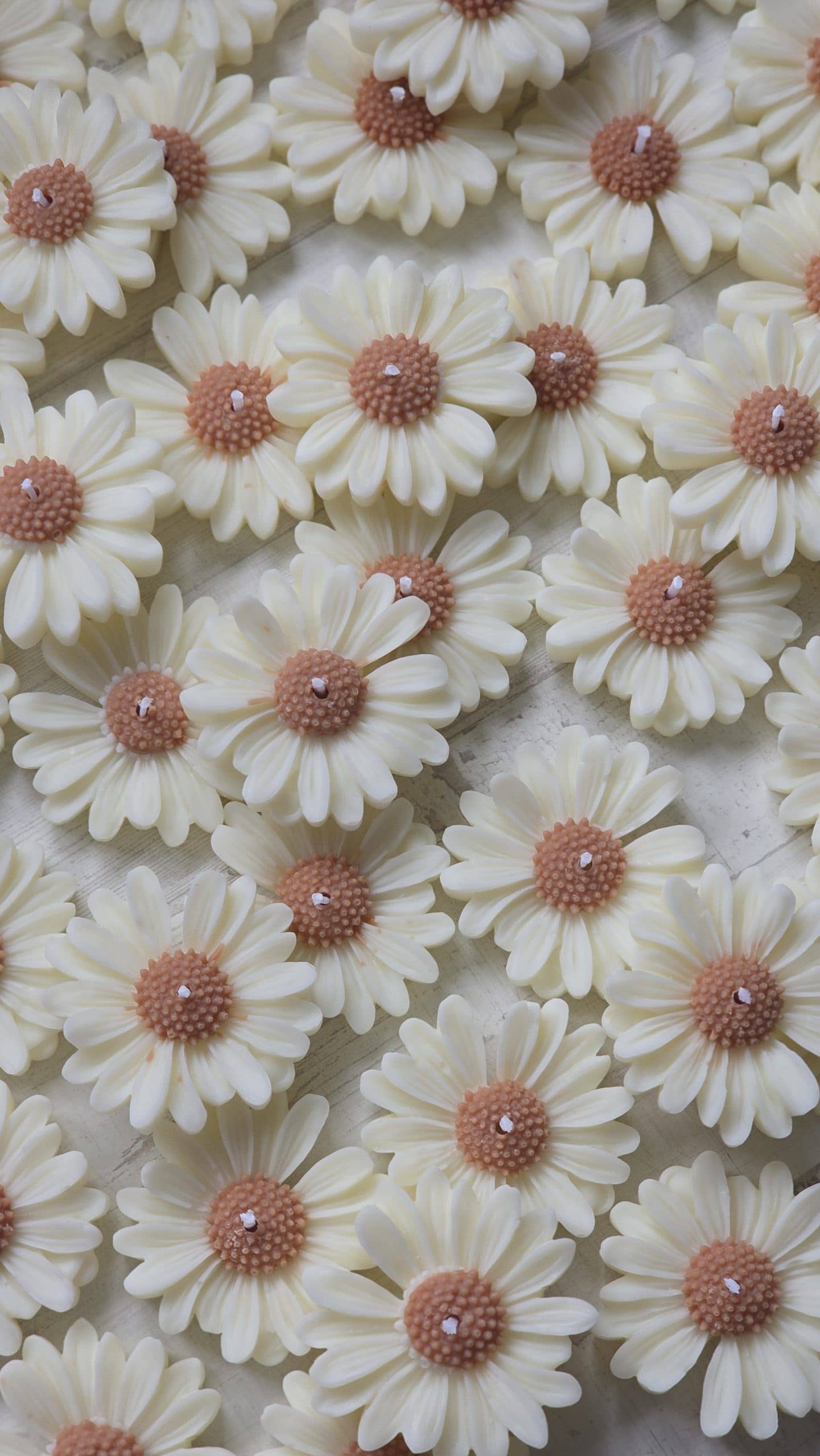 Staller – wholesale Novelty candle – Custom Daisy Scented Candles1