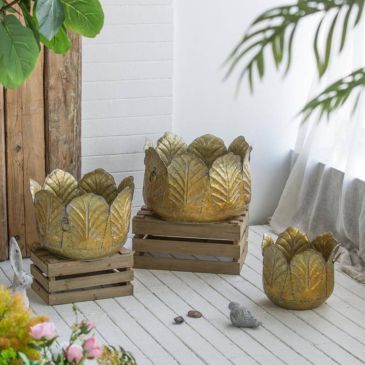 S/3 Gilded Zinc Leaf Bowl Planter Set (3-Piece) and other Purchase Wholesale tabletop planter. Free Returns & Net 60 Terms on Faire trending on Faire.