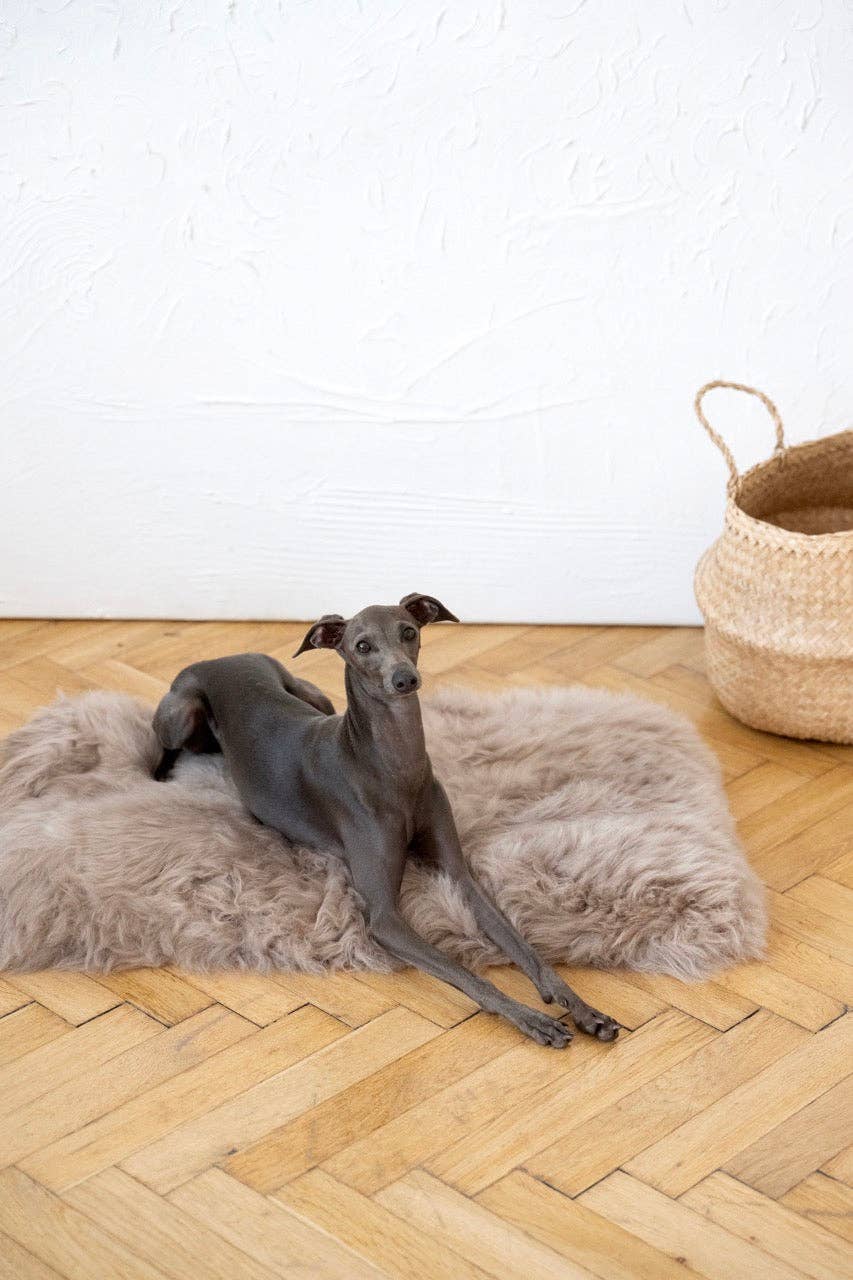 Mellow - Vendita all'ingrosso Tappetino - Cani - Tappeto quadrato o rettangolare in pelle di pecora naturale - Greige3