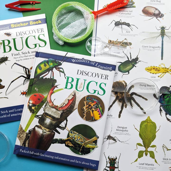 Robert Frederick Ltd – Großhandel Vorschulbuch (3–5 Jahre) – Discover Bugs Pädagogisches Box-Set4