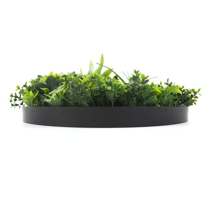 Designer Plants AU - Wholesale Artificial plant - Slimline Flowering White Artificial Green Wall Disc UV Resistant 50cm (Black Frame)5