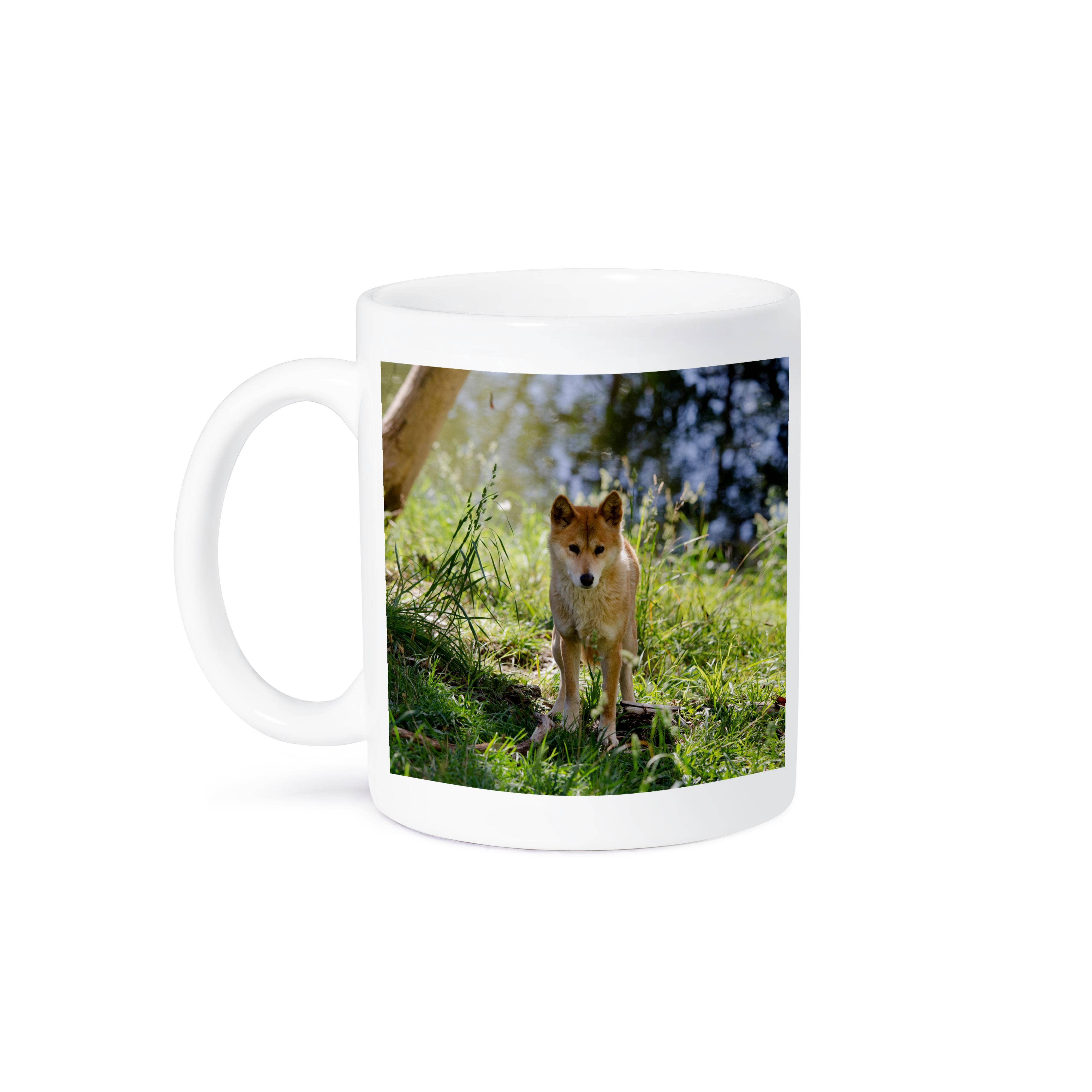3dRose - Wholesale Coffee Mug - 3dRose, Australia, Adelaide. Cleland Wildlife Park. Australian Dingo, Mug8