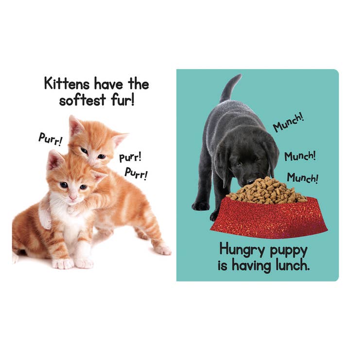 Little Hippo Books - Wholesale Book - Kids - Puppies and Kittens -Touch and Feel Sensory Board Book
